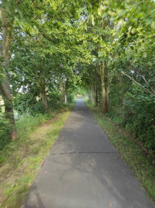 Storchennest - Ferienwohnung Am Storchenradweg Ketzür Dış mekan fotoğraf