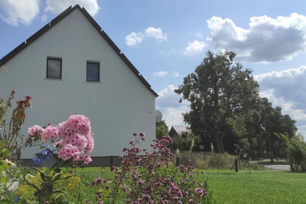 Storchennest - Ferienwohnung Am Storchenradweg Ketzür Dış mekan fotoğraf