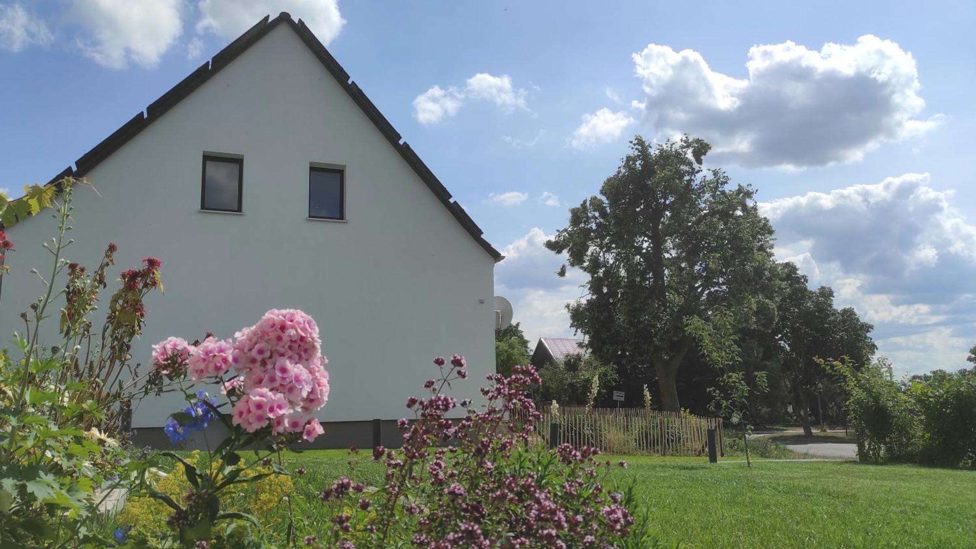 Storchennest - Ferienwohnung Am Storchenradweg Ketzür Dış mekan fotoğraf